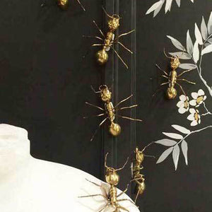 Galapagos Brass Ant