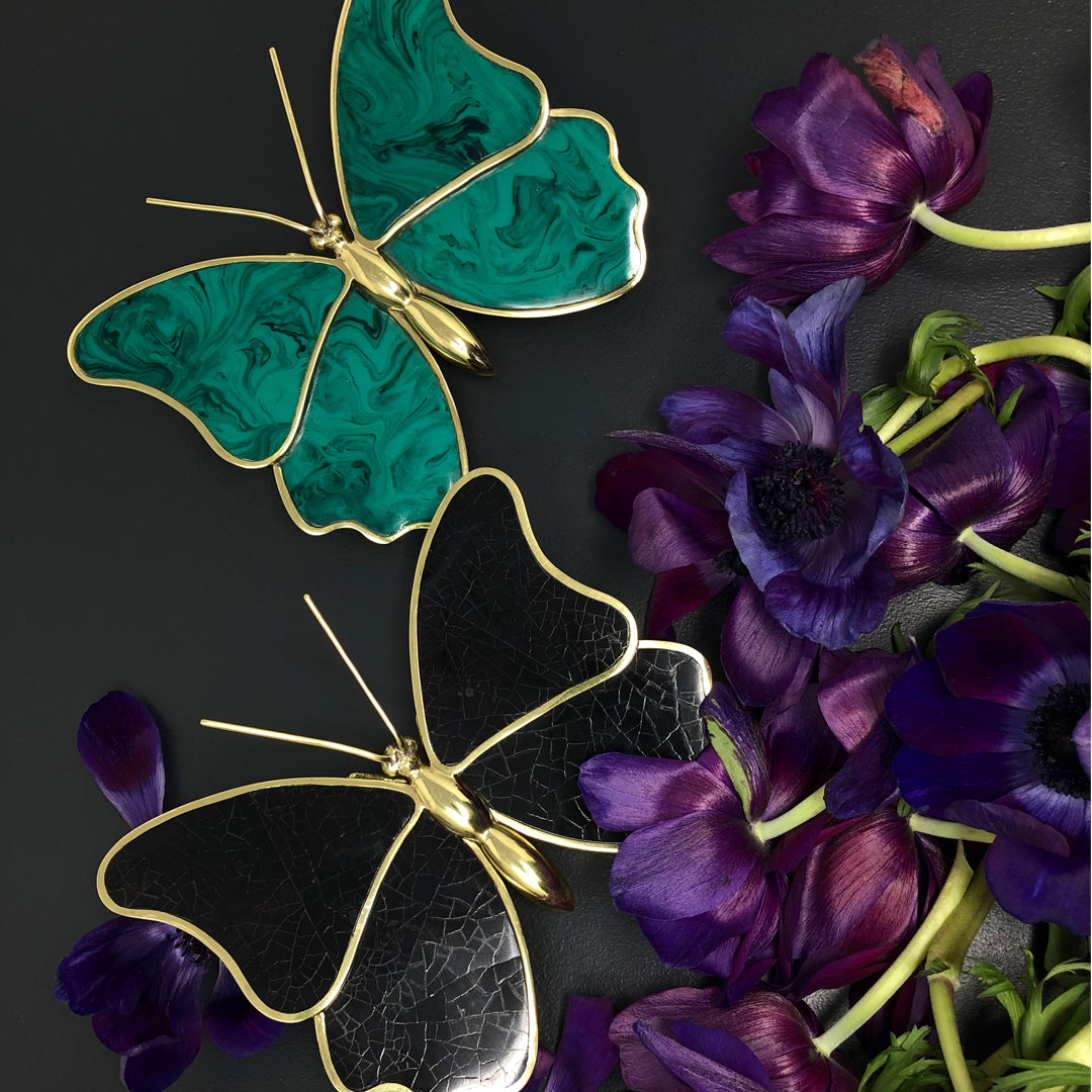 Mariposa Noir