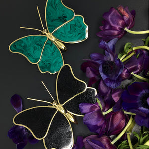 Mariposa Noir
