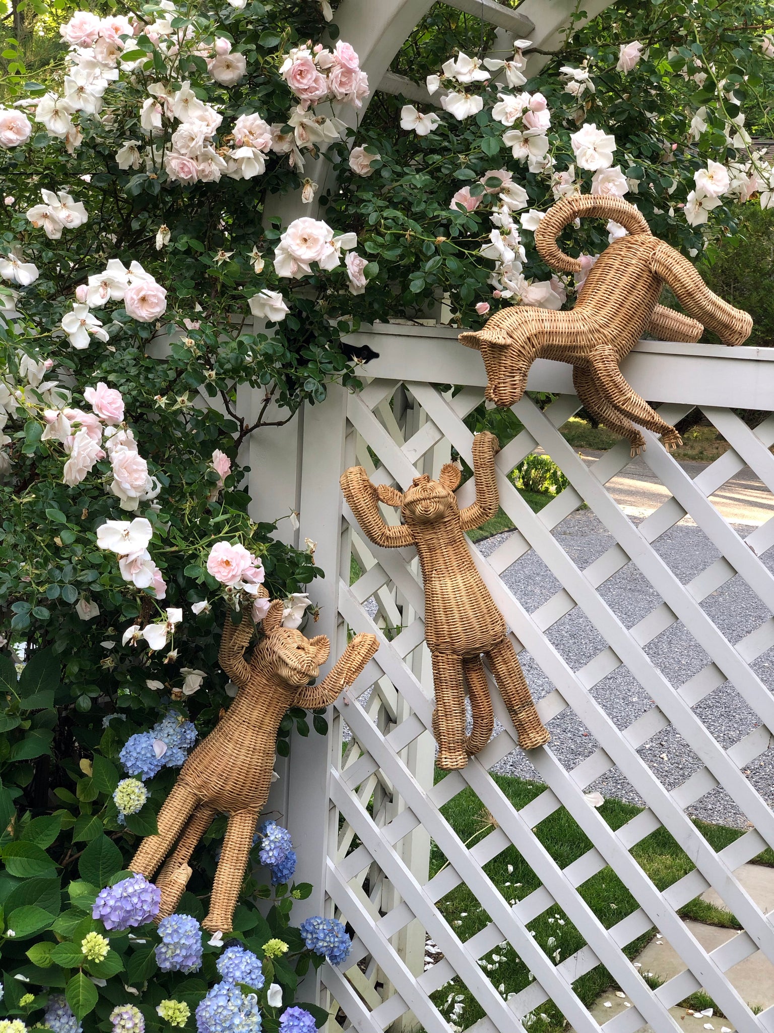 Baby Wicker Monkeys