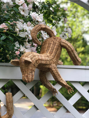 Baby Wicker Monkeys